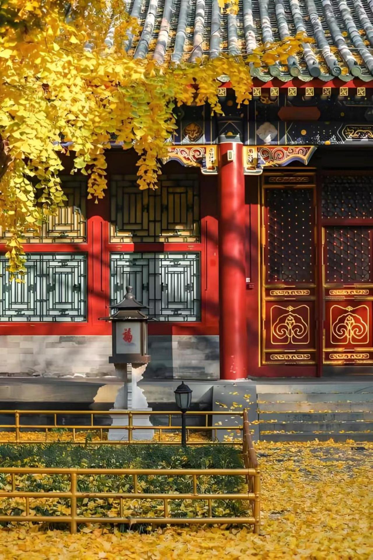 Beijing Tangfu Hotel - Located In The City Center Adjacent To The Subway Station Close To Nanluoguxiang Gulou Lama Temple Tiananmen Square Forbidden City Temple Of Heaven Providing Laundry Car Rental And Ticketing Services Eksteriør billede